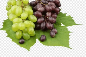 Uva Verde Ou Roxa