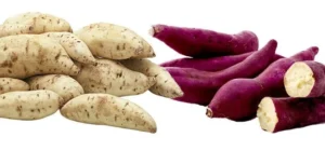 Batata Doce Roxa Ou Branca